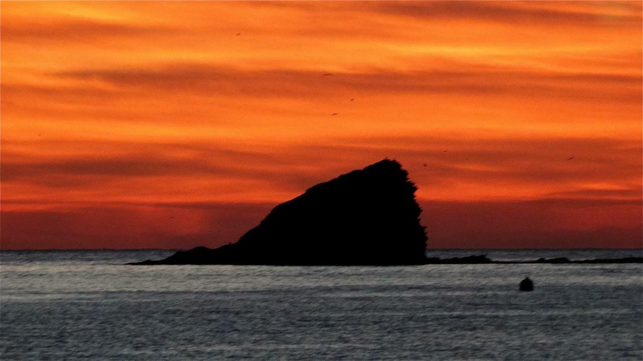 Es Volca Apartamento Cadaqués Exterior foto
